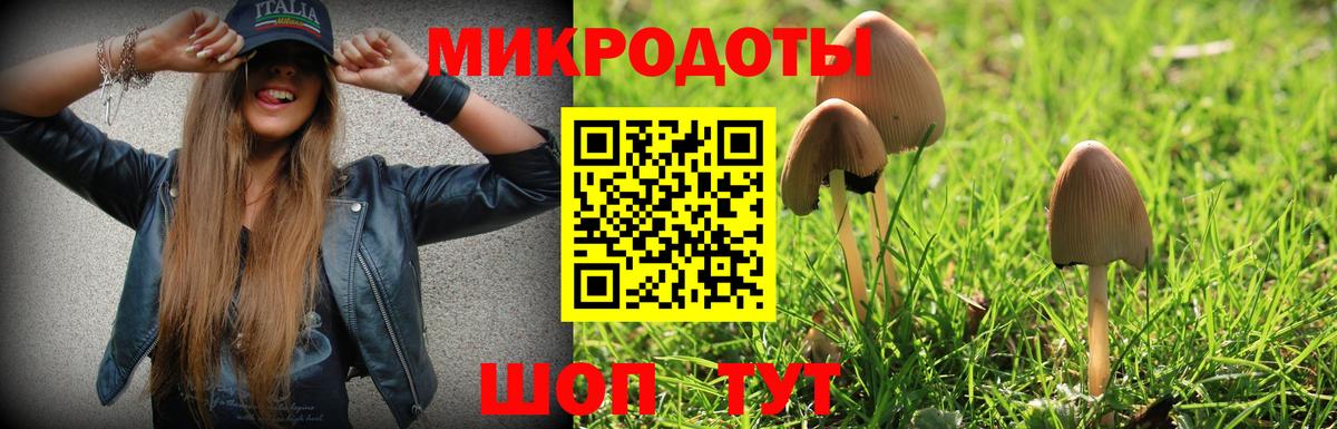 Галлюциногенные грибы прущие грибы Корсаков